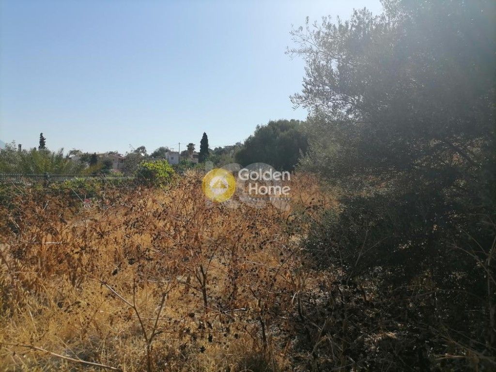 εικόνα αγγελίας