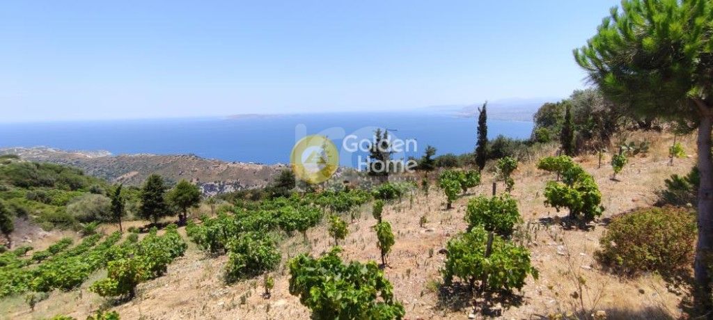 εικόνα αγγελίας