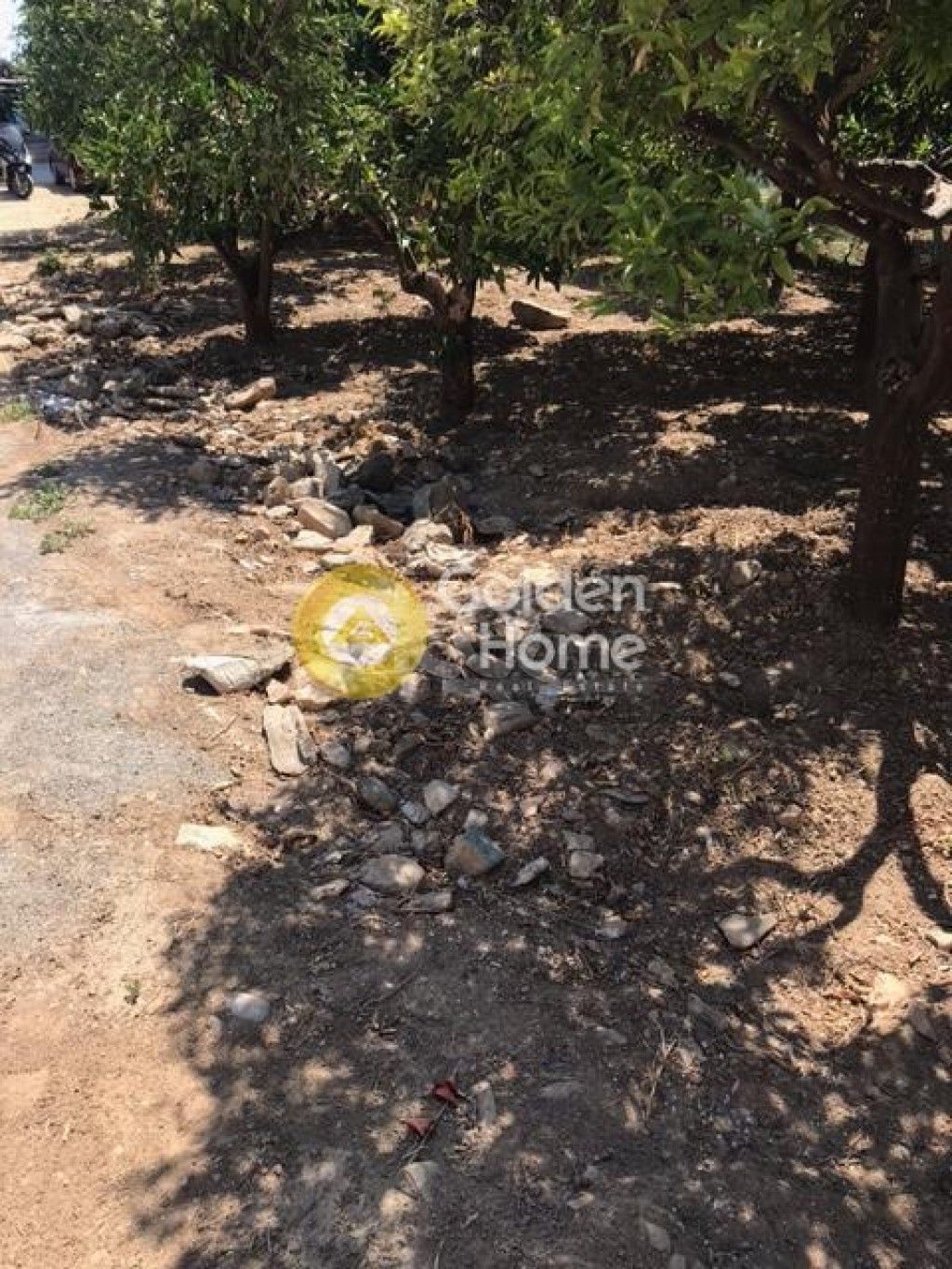 εικόνα αγγελίας