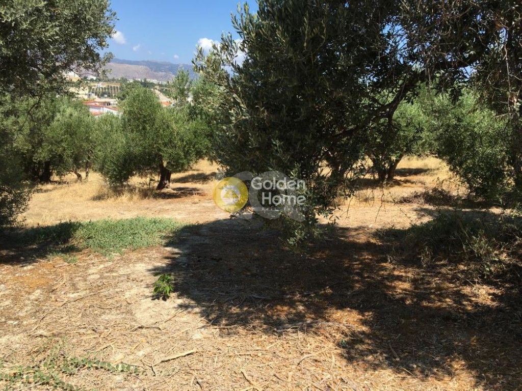 εικόνα αγγελίας