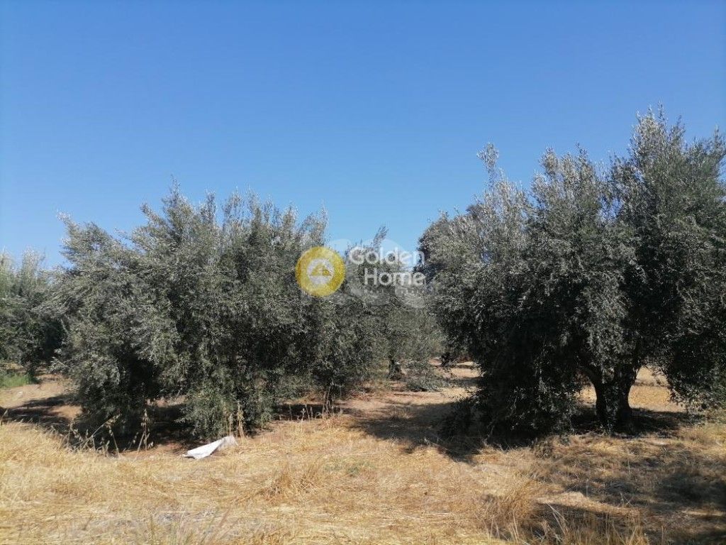 εικόνα αγγελίας