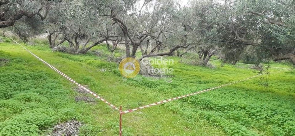 εικόνα αγγελίας