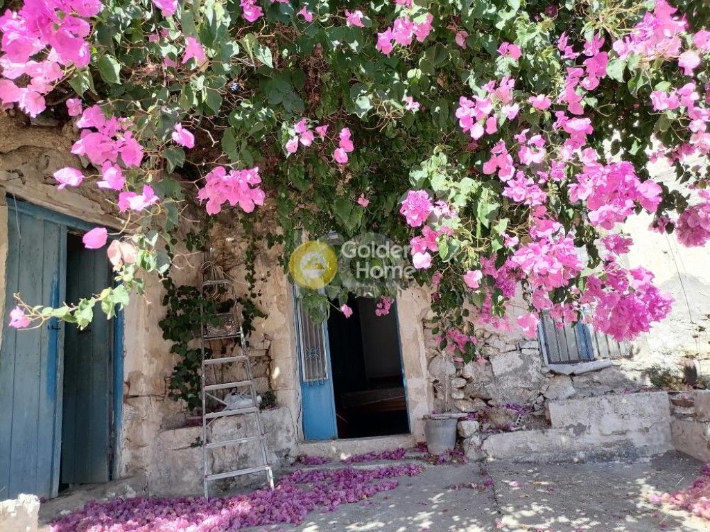 εικόνα αγγελίας