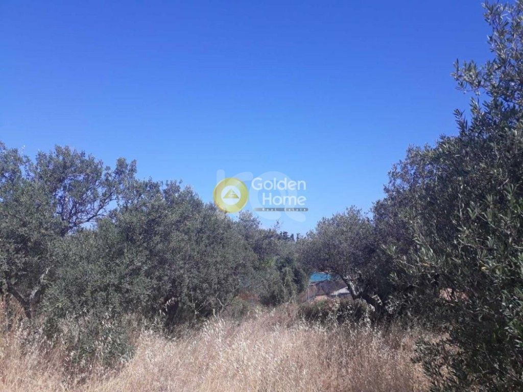 εικόνα αγγελίας