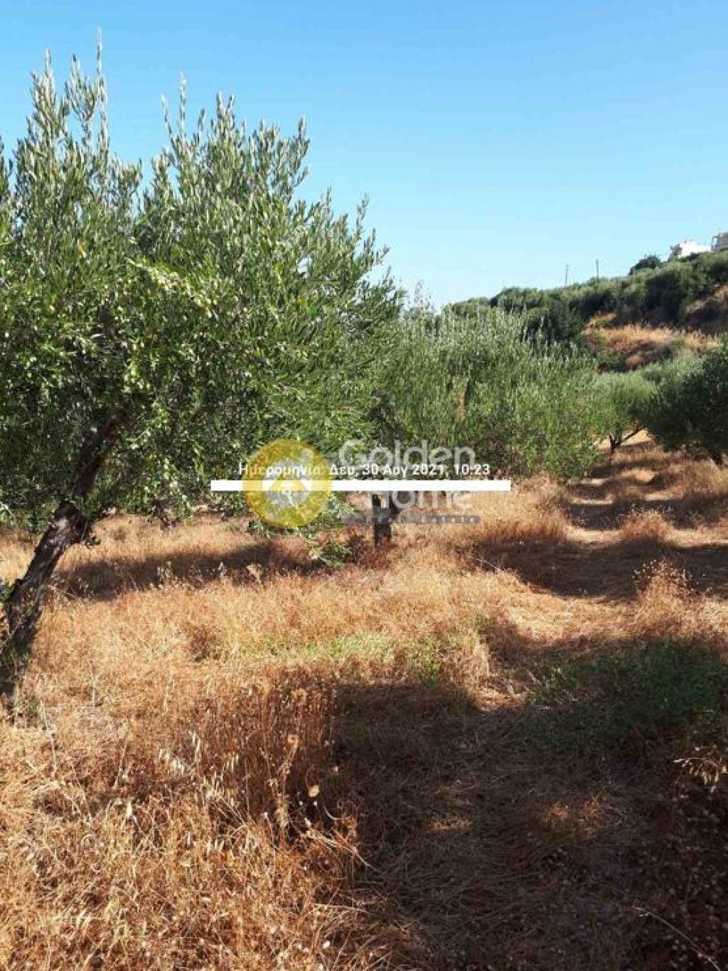 εικόνα αγγελίας