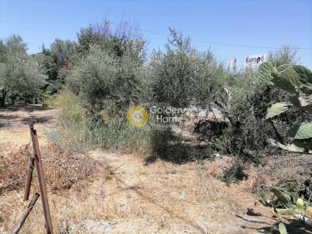 εικόνα αγγελίας