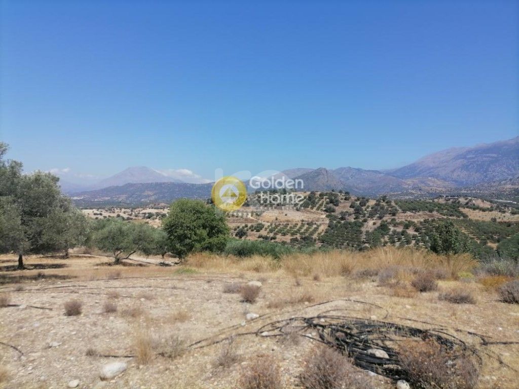 εικόνα αγγελίας