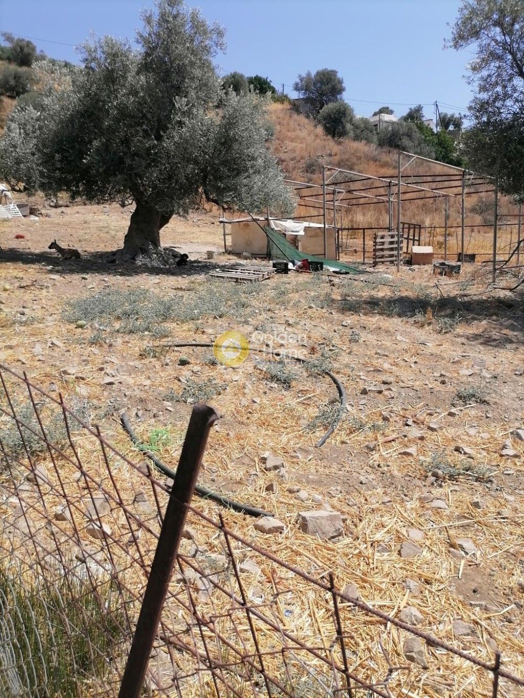 εικόνα αγγελίας