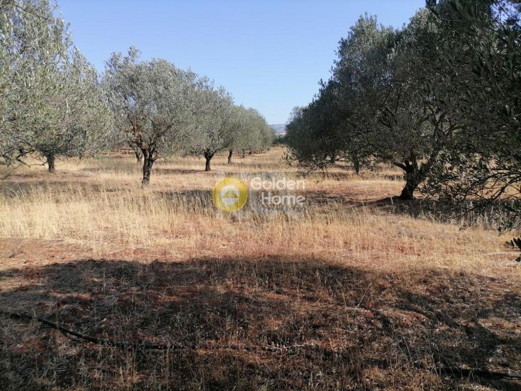 εικόνα αγγελίας