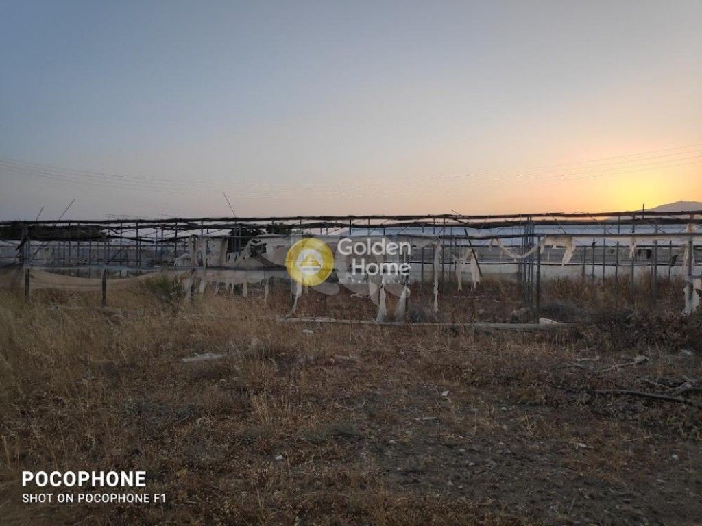 εικόνα αγγελίας