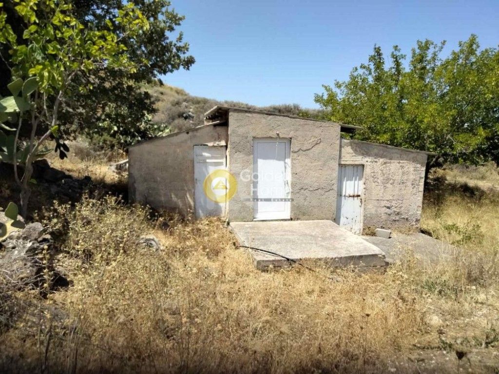 εικόνα αγγελίας