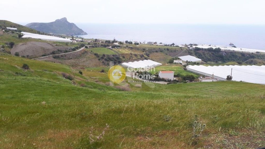 εικόνα αγγελίας