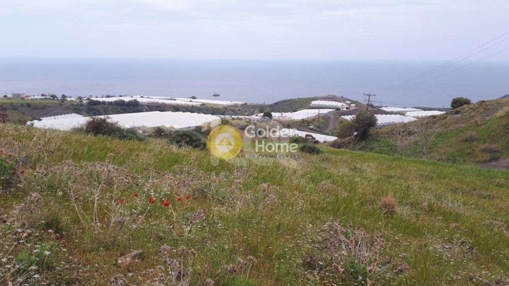 εικόνα αγγελίας