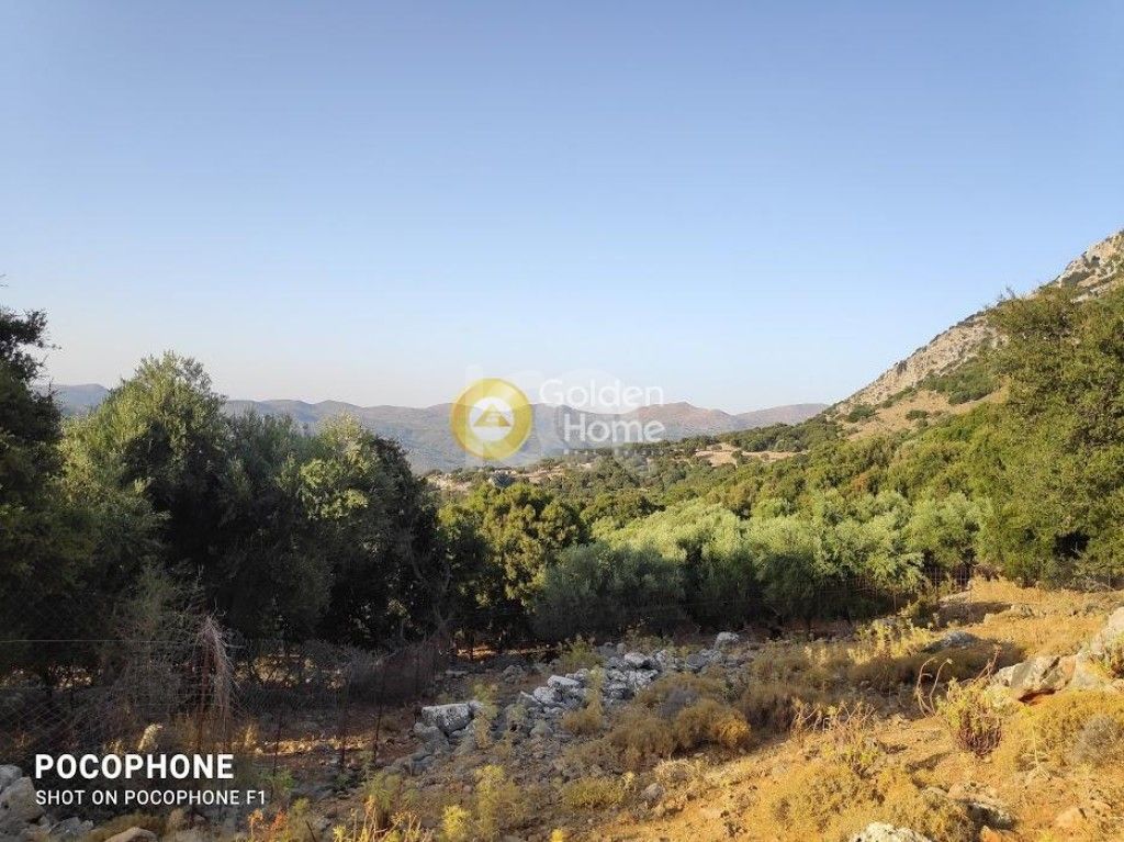 εικόνα αγγελίας