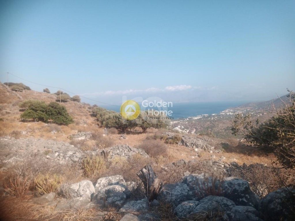 εικόνα αγγελίας