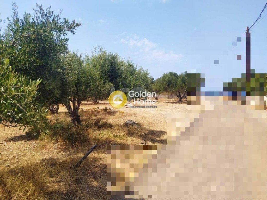 εικόνα αγγελίας