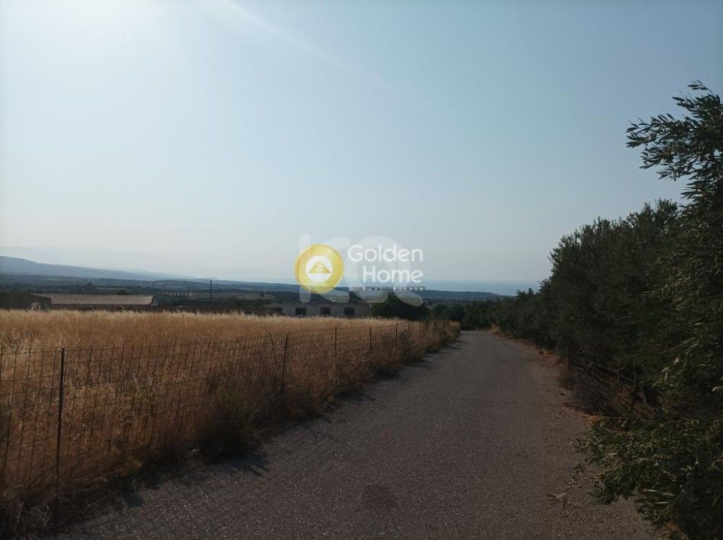 εικόνα αγγελίας