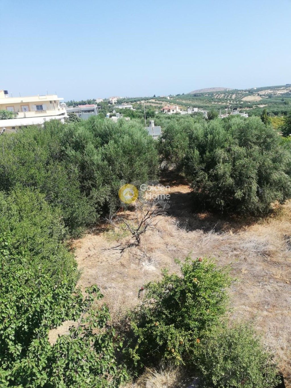 εικόνα αγγελίας