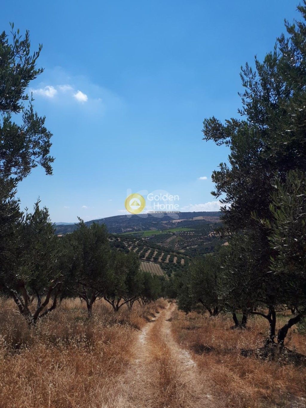 εικόνα αγγελίας