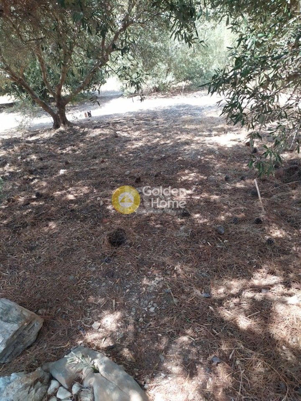 εικόνα αγγελίας