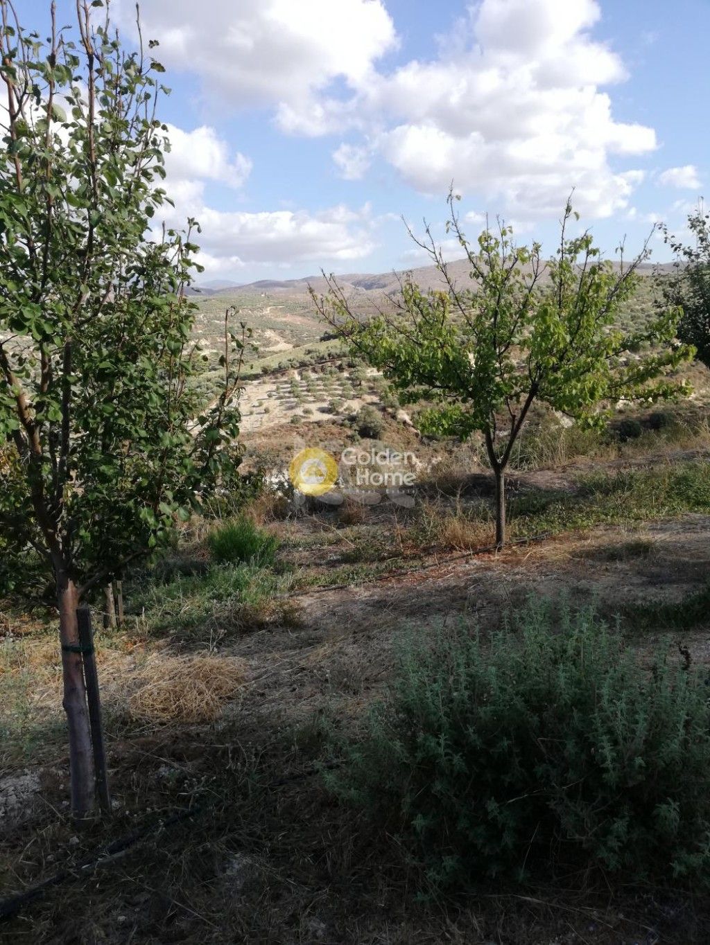 εικόνα αγγελίας