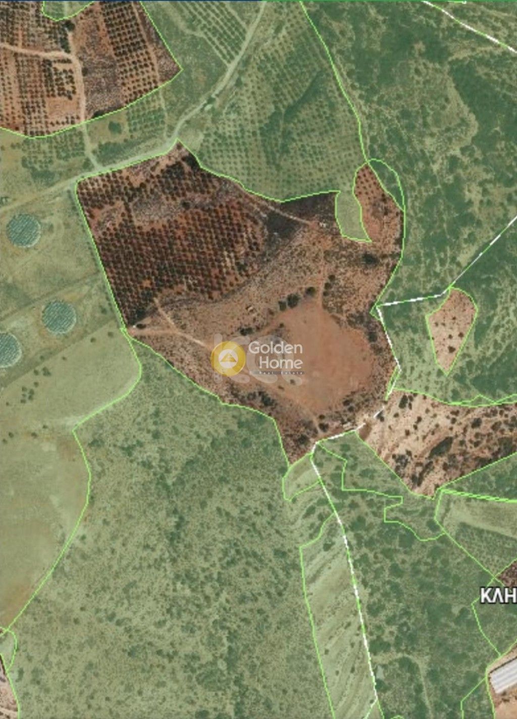 εικόνα αγγελίας