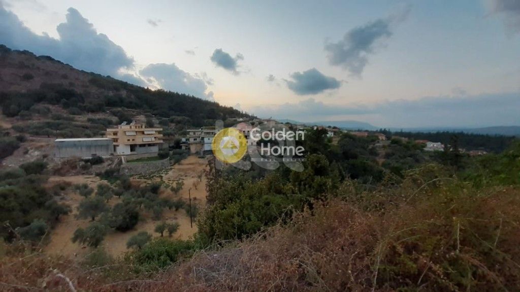 εικόνα αγγελίας