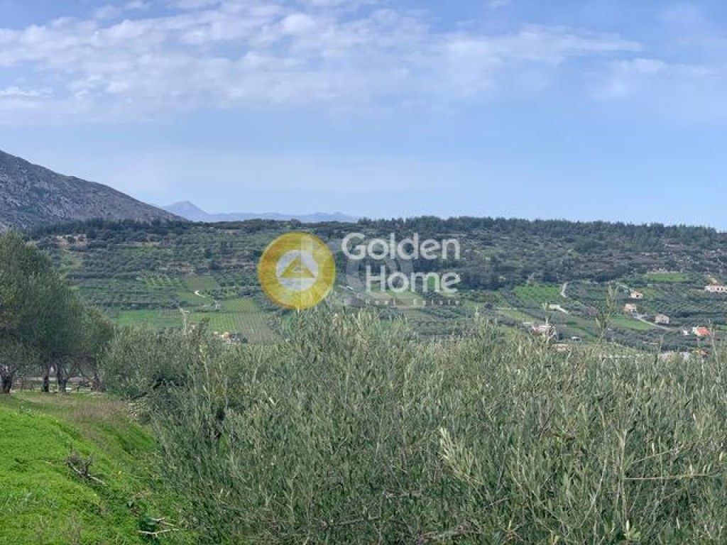 εικόνα αγγελίας