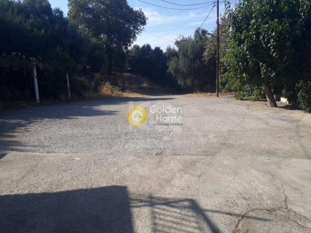 εικόνα αγγελίας