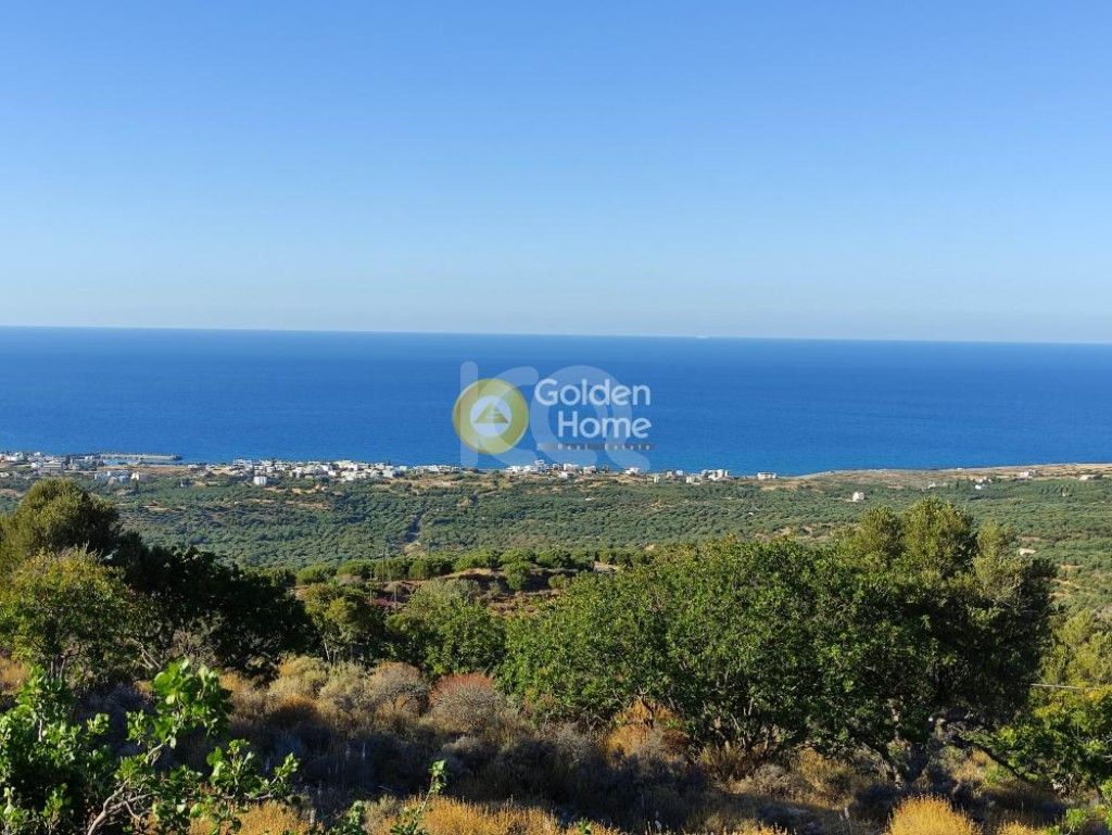 εικόνα αγγελίας