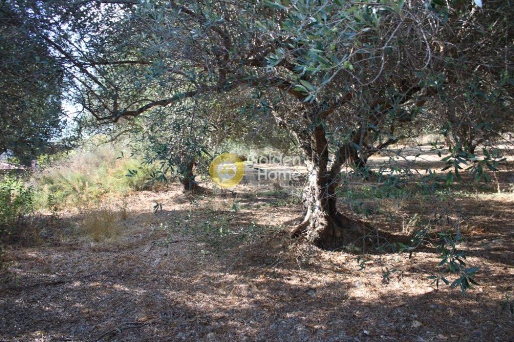 εικόνα αγγελίας