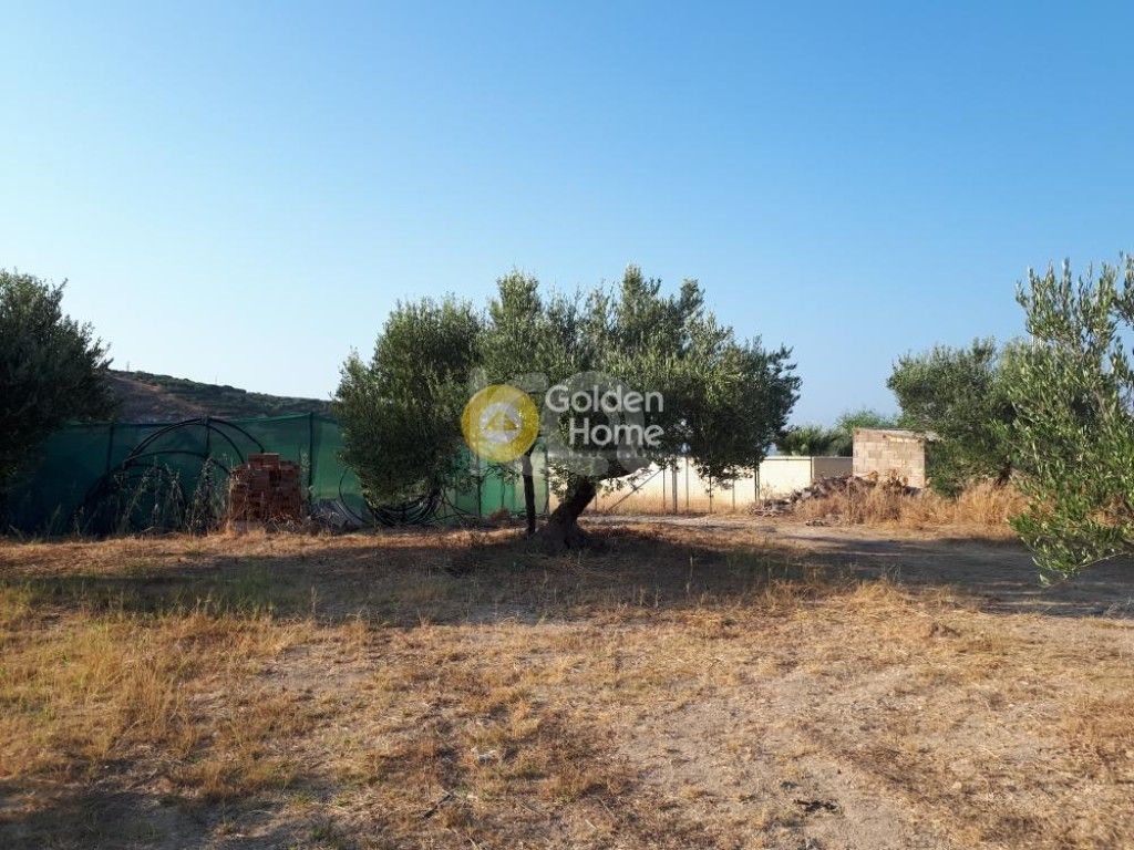 εικόνα αγγελίας