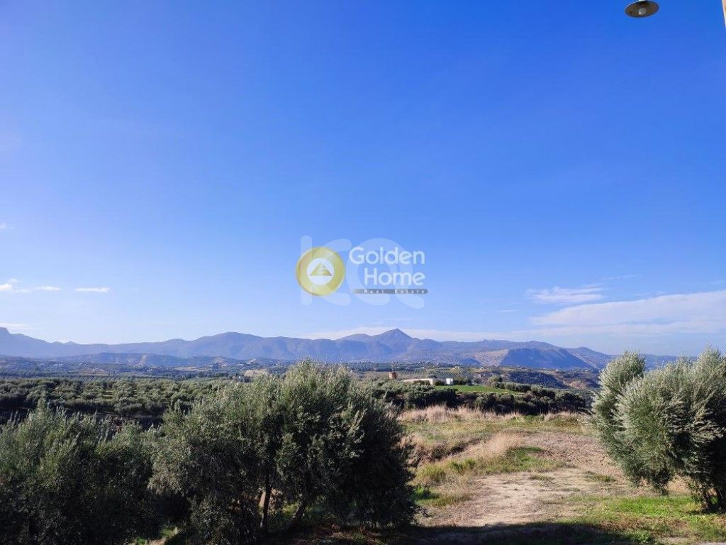 εικόνα αγγελίας