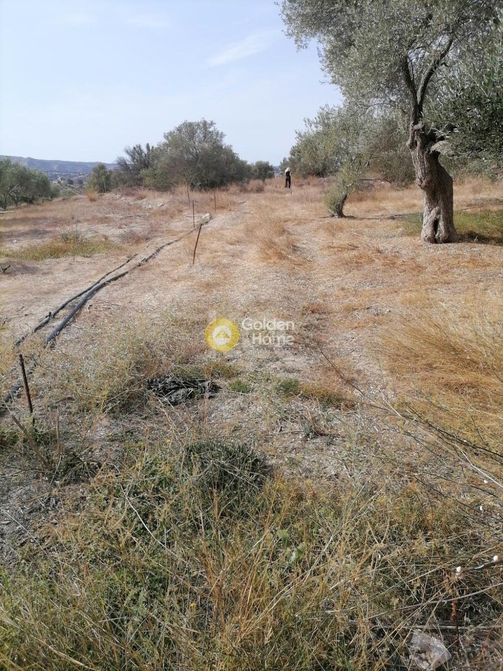 εικόνα αγγελίας