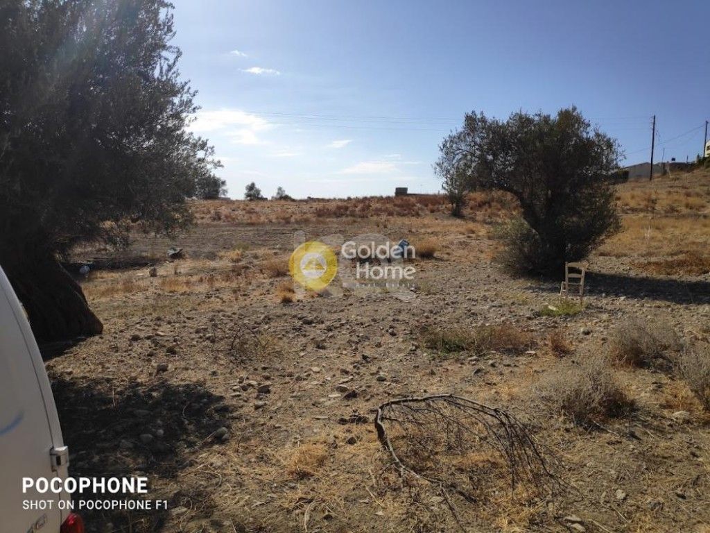 εικόνα αγγελίας