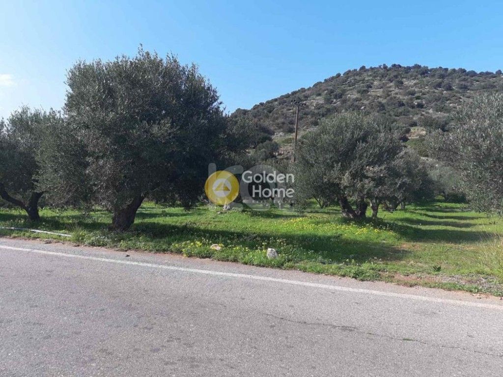 εικόνα αγγελίας