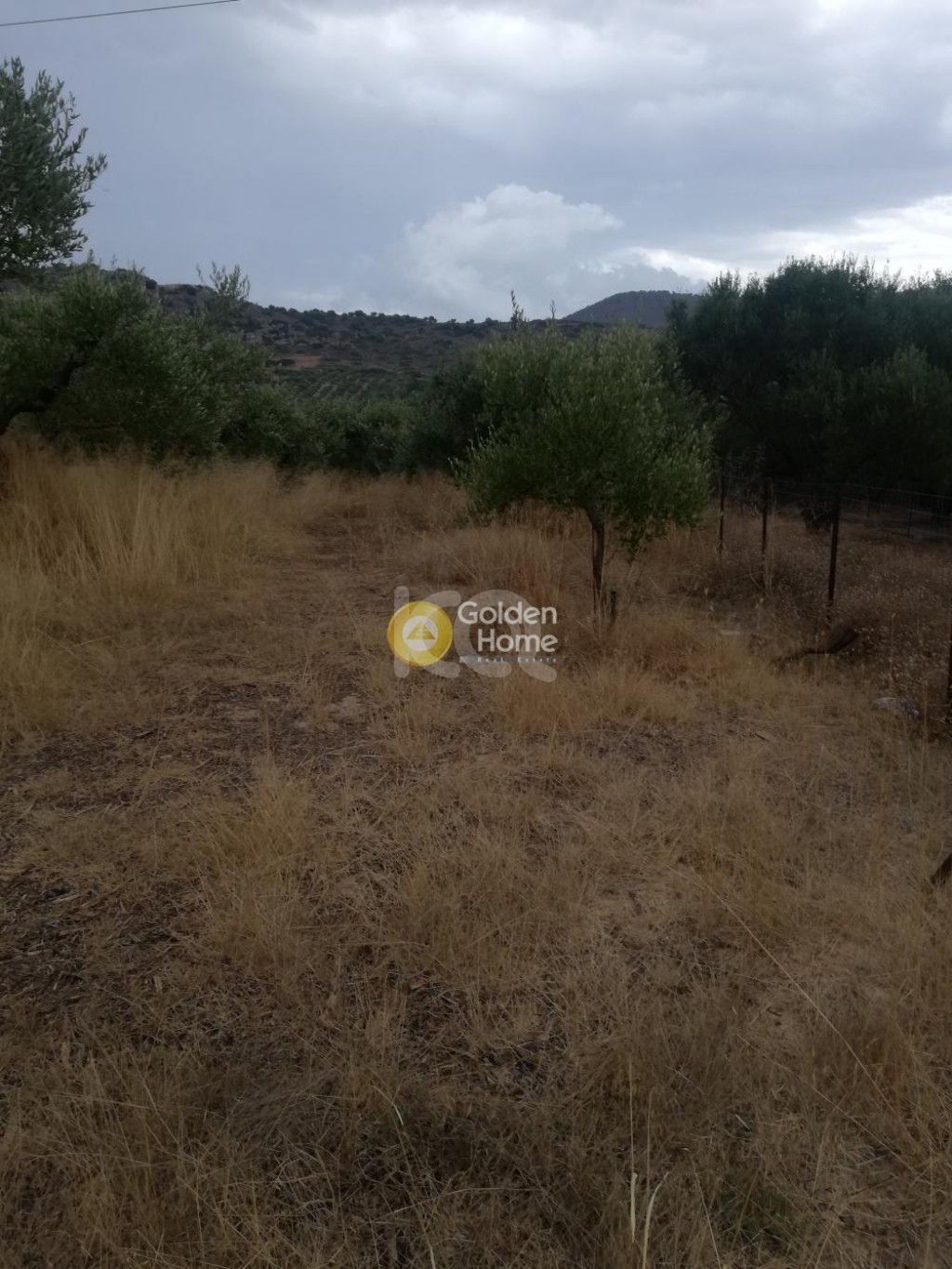 εικόνα αγγελίας