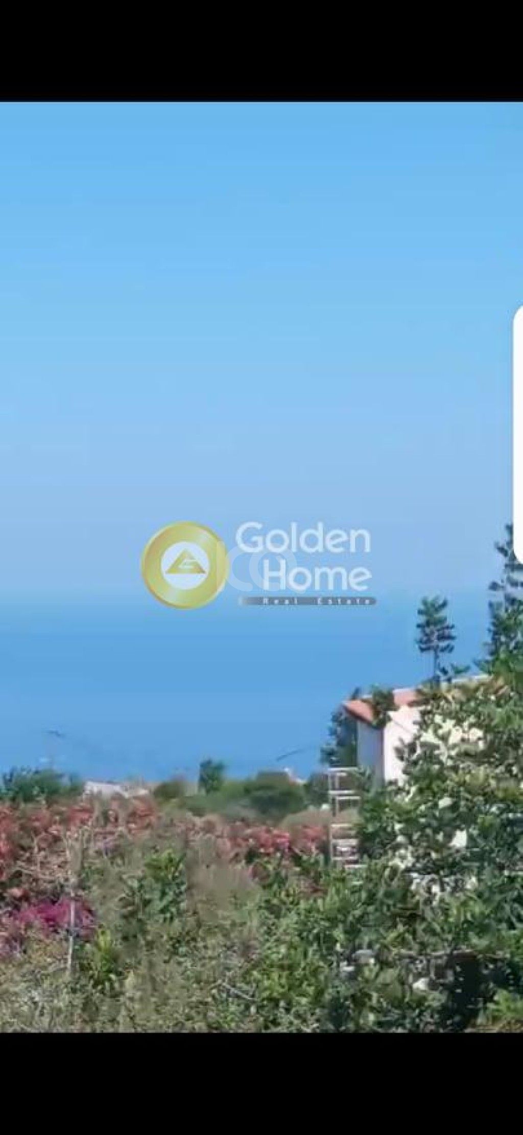 εικόνα αγγελίας