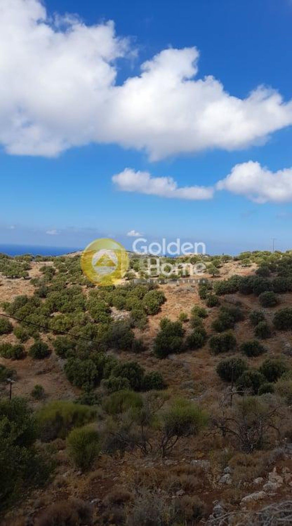 εικόνα αγγελίας