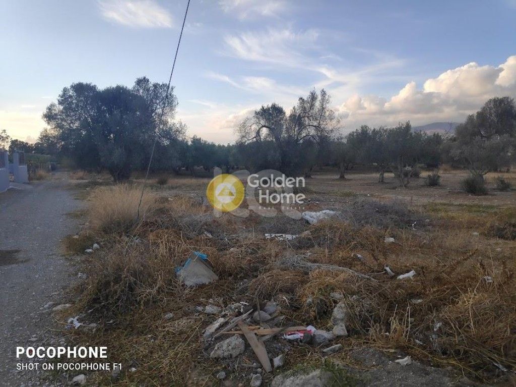 εικόνα αγγελίας