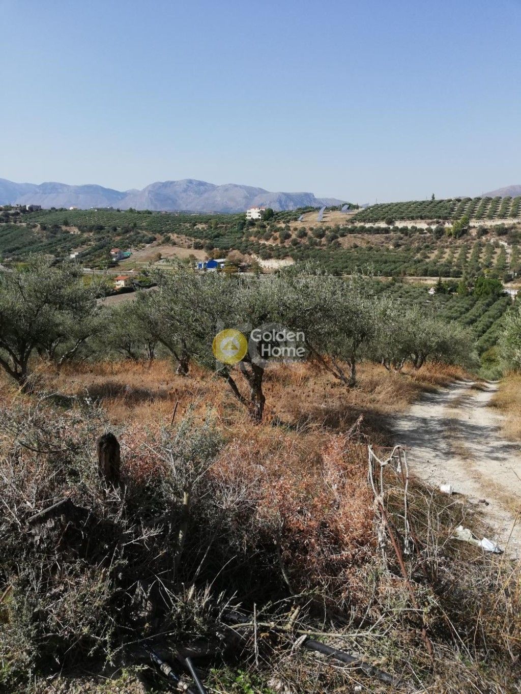 εικόνα αγγελίας