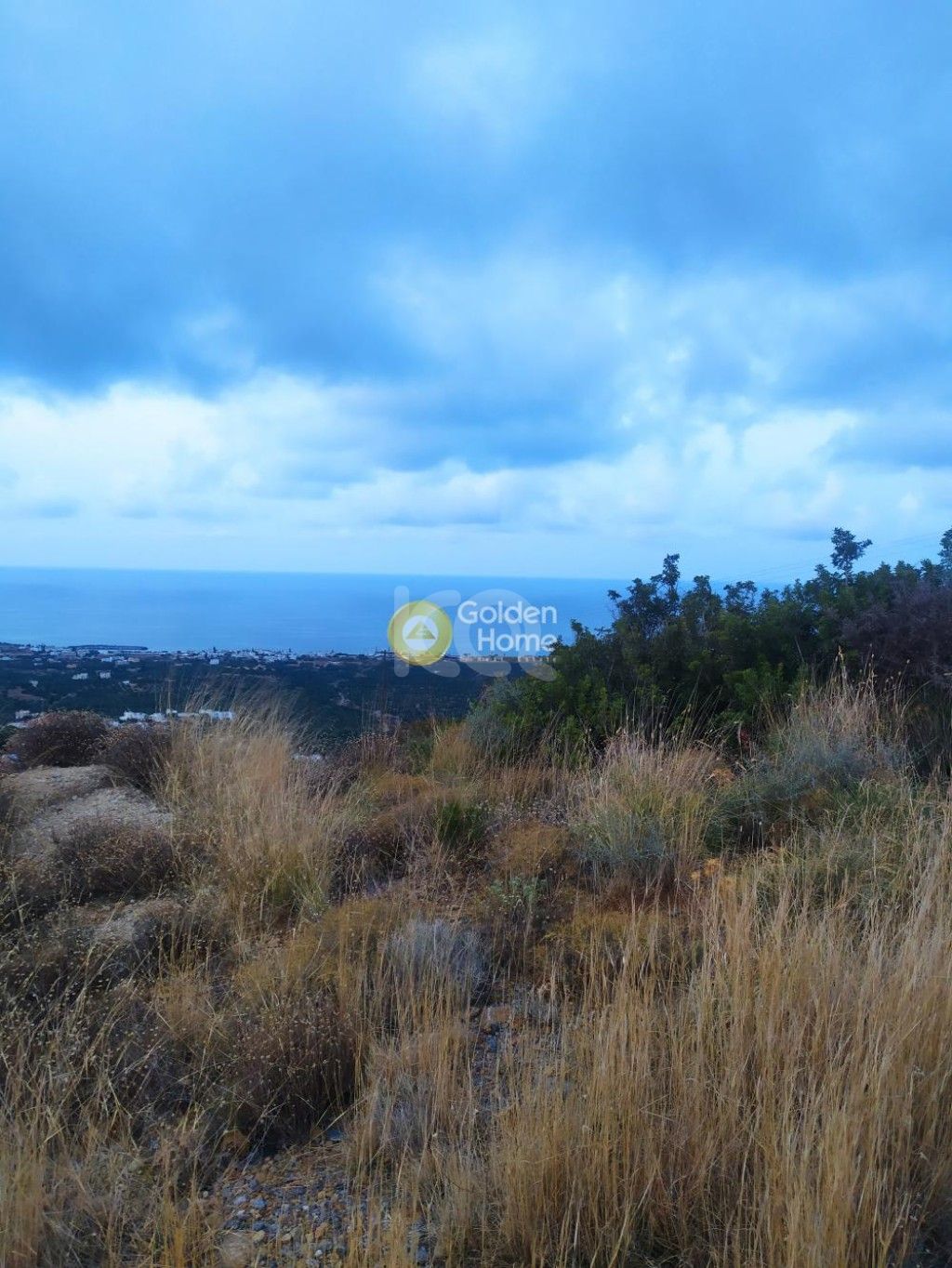 εικόνα αγγελίας