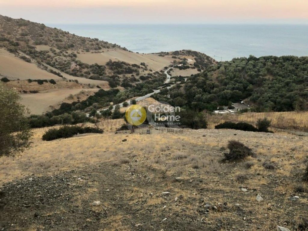 εικόνα αγγελίας