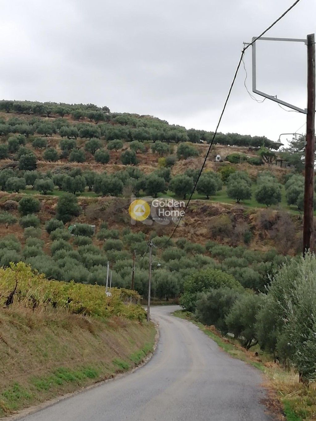 εικόνα αγγελίας