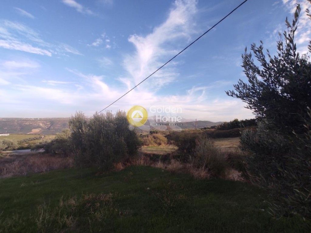 εικόνα αγγελίας