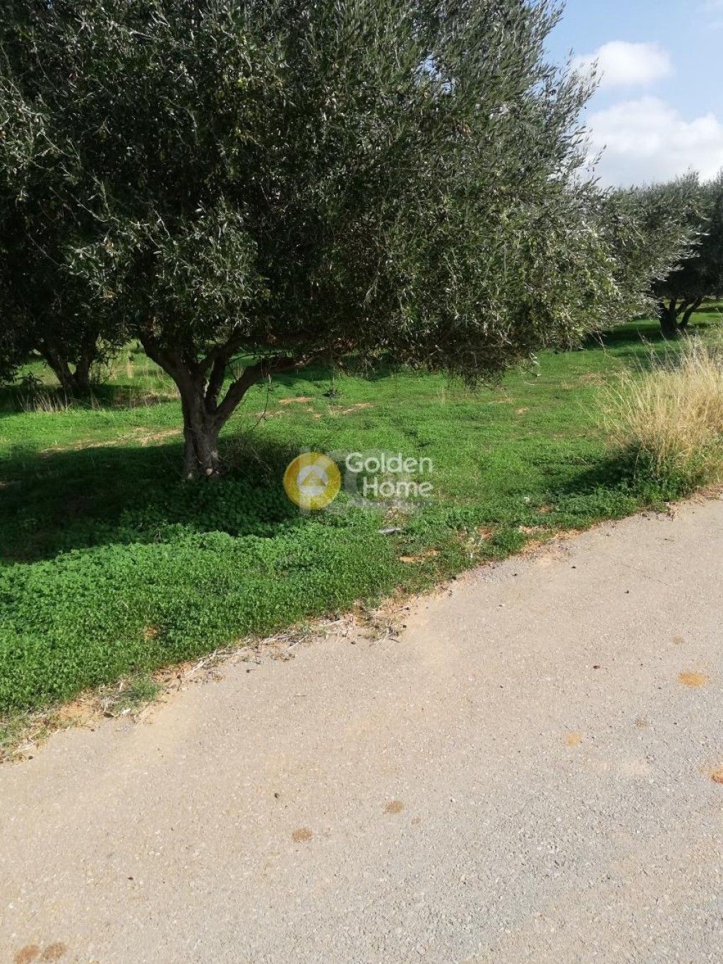 εικόνα αγγελίας