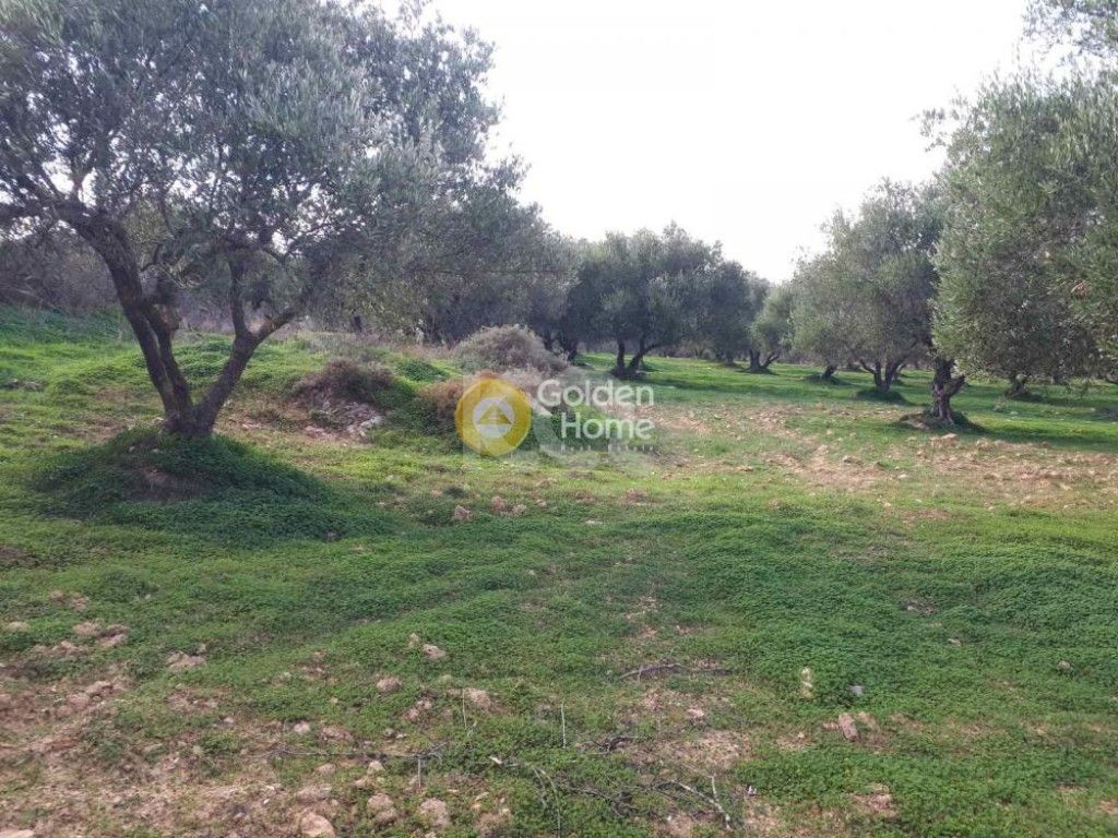 εικόνα αγγελίας