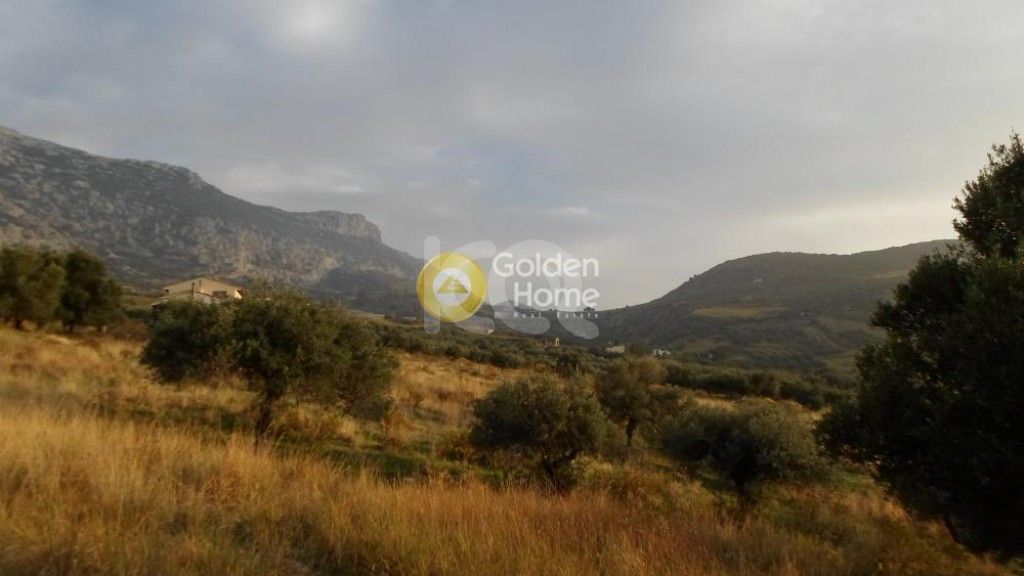 εικόνα αγγελίας