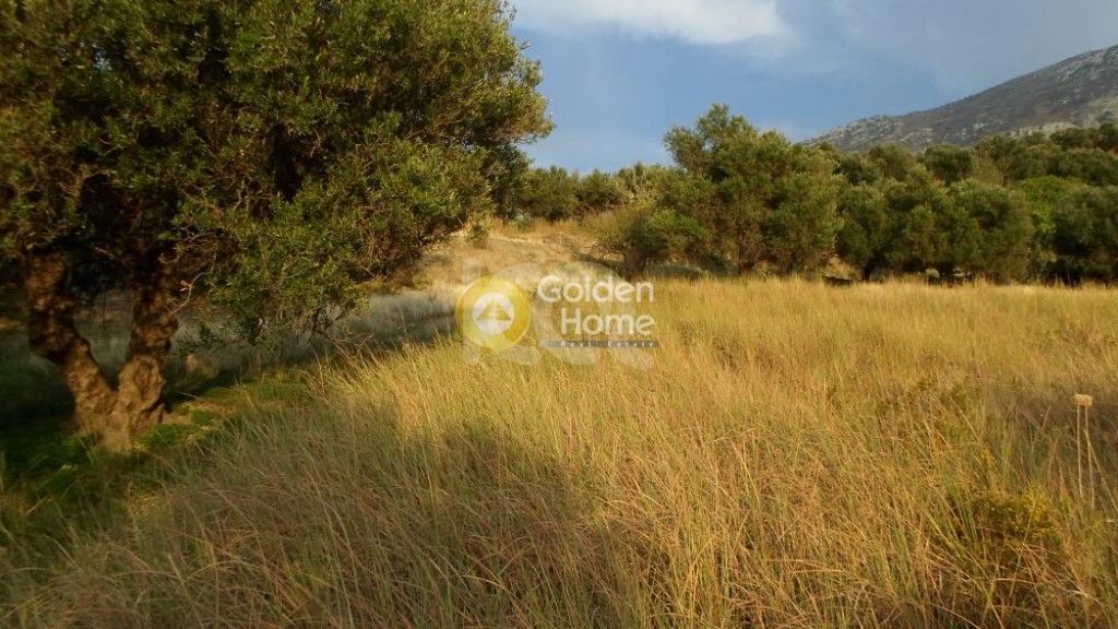 εικόνα αγγελίας