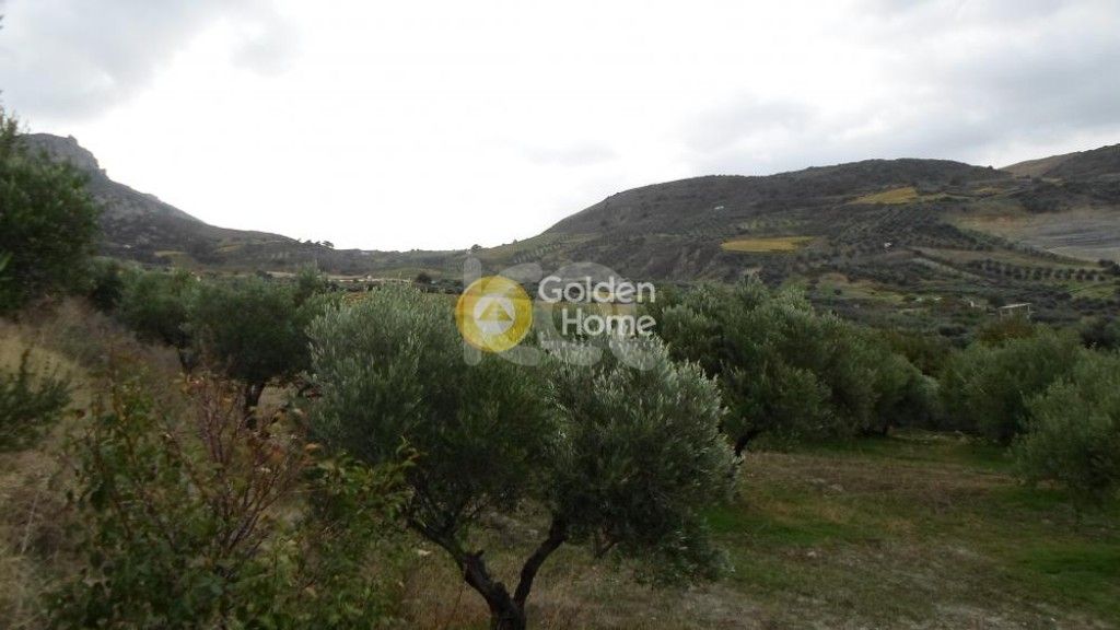 εικόνα αγγελίας